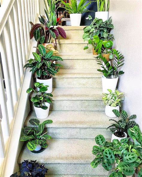 60 Beautiful Indoor Plants Design In Your Interior Home Plant Decor