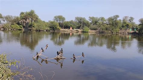 Keoladeo National Park Bharatpur Rajasthan Youtube