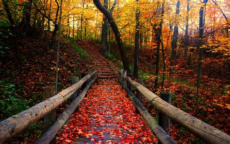 Fall Season Backgrounds Wallpaper Cave