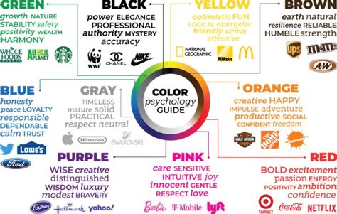 Is Your Brand Color On Target — Shamrock Companies
