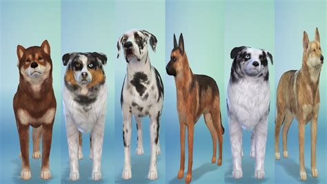 Framed Dog Photos Sims 4 Cc Sims 4 Sims Sims 4 Custom Content Images