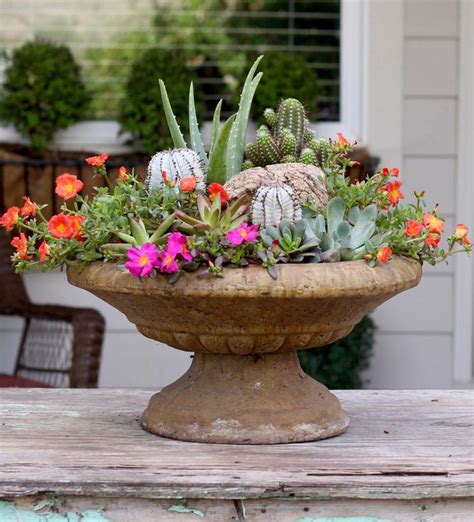 103 Best Images About Container Garden Recipes On Pinterest Gardens Window Boxes And