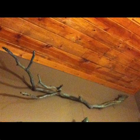 Spray Painted Tree Branch Painted Branches Nature Decor Tree Painting