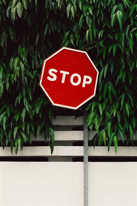 Hd Wallpaper Red And White Stop Road Sign Near Green Tree Stop