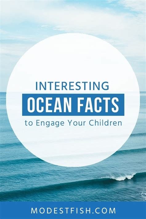 Ocean Facts For Kids Fun And Engaging Guide To Understanding The Sea