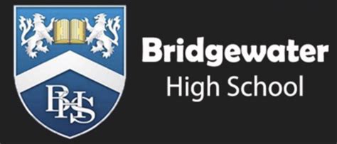 Bridgewater High School Schools Dot Art Schools