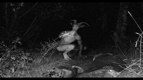 Terrifyingly Real Photos Caught On Trail Cameras Youtube