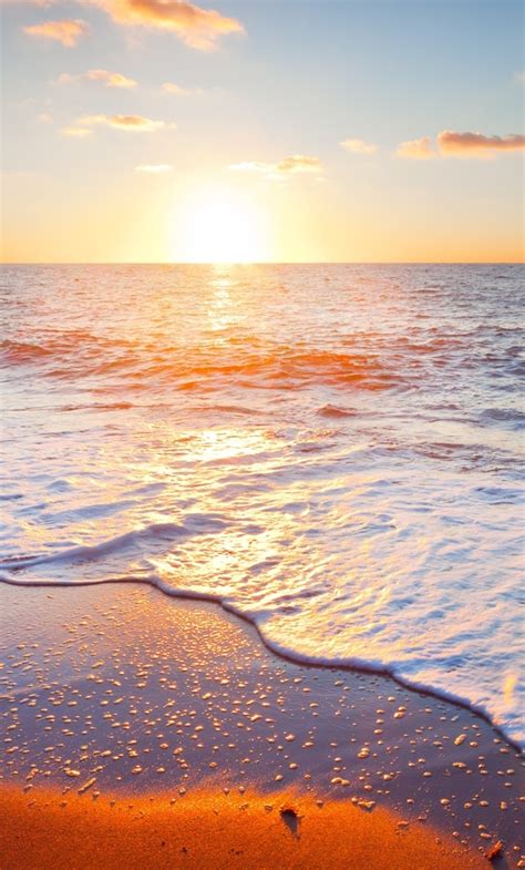1280x2120 Beach Shore Sunset Iphone 6 Hd 4k Wallpapersimages