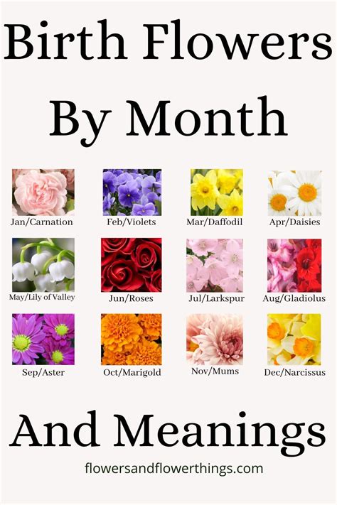 birth flowers by month and meaning flowersandflowerthings birth flower tattoos birth
