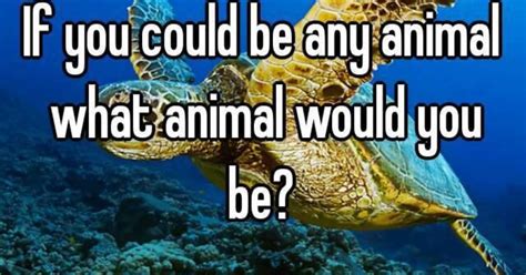 What Animal Would You Be And Why Animalqf