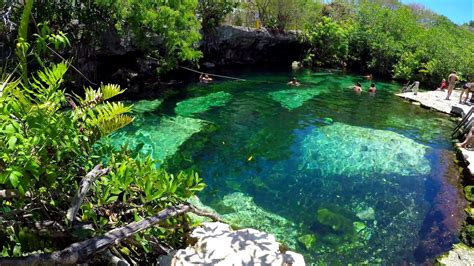 Tulum Yucatan Cenote Cristalino The Natural Fish Spa Playa Del Carmen