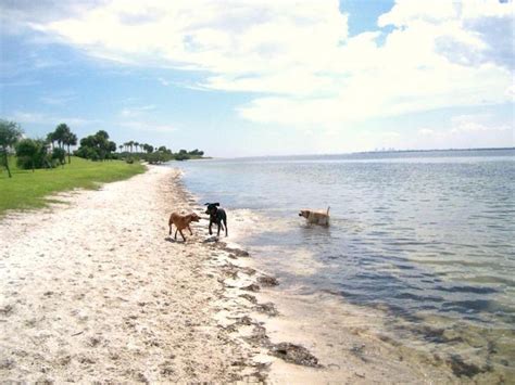 The 12 Prettiest Parks In The Tampa Bay Area