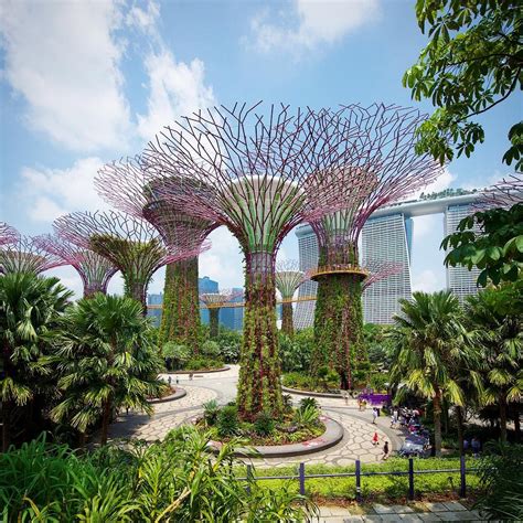 Gardens By The Bay Singapore Beautiful Insanity