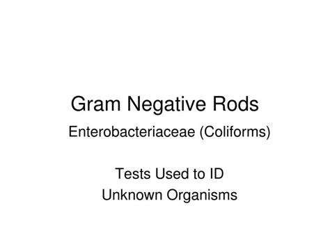 Ppt Gram Negative Rods Powerpoint Presentation Free Download Id
