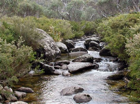 Thredbo River Track Nsw Holidays And Accommodation Things To Do