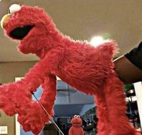 Elmo Funny Posts Pictures And S On Joyreactor