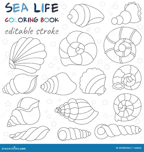 Set of Sea Shells. Original Coloring Pages of the Underwater World