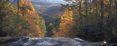 Top Five Waterfalls Near Blue Ridge Official Georgia Tourism And Travel