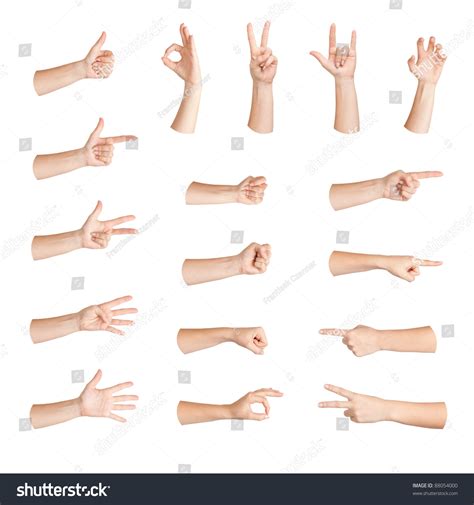 Set Of Gestures Woman Hand Isolated Stock Photo 88054000 Shutterstock
