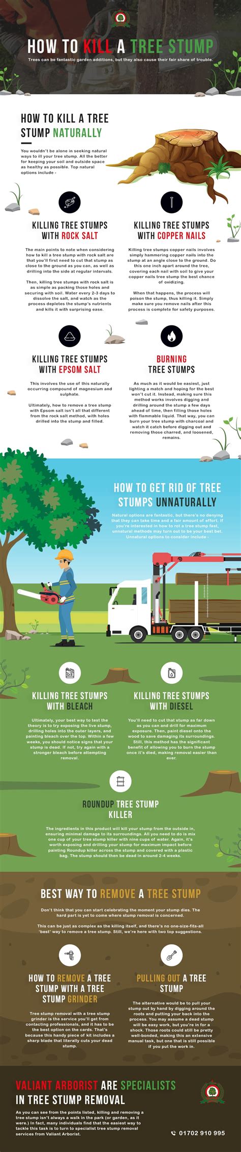 4 Easy Ways To Kill A Tree Stump Naturally And Unnaturally Valiant Arborist