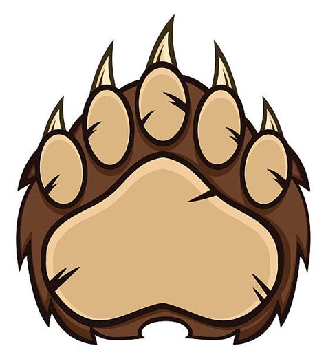 Best Bear Paw Pictures Illustrations Royalty Free Vector Graphics