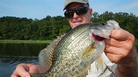 Crappie Fishing Tournaments In Mississippi
