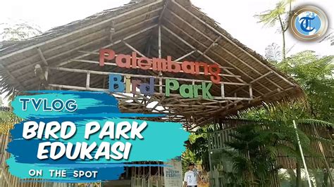 Masih banyak lho tempat wisata yang menarik untuk dikunjungi di jogja. Tempat Wisata Di Surabaya Untuk Anak Anak - Tempat Wisata ...
