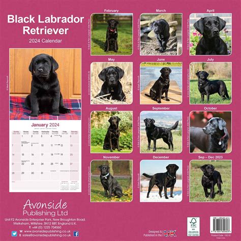 Black Labrador Retriever Calendar Dog Breed Pet Prints Inc