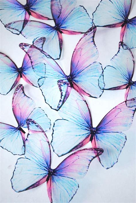 Blue Rainbow Butterflies 3d Acetate Butterfly Ombre Blue Etsy Blue
