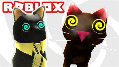 Cats In Roblox Have Gone Crazy Youtube