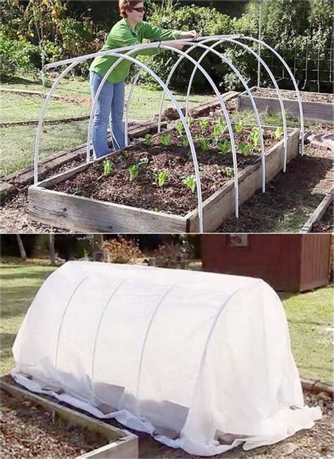15 Amazing Diy Greenhouse Projects With Tutorials
