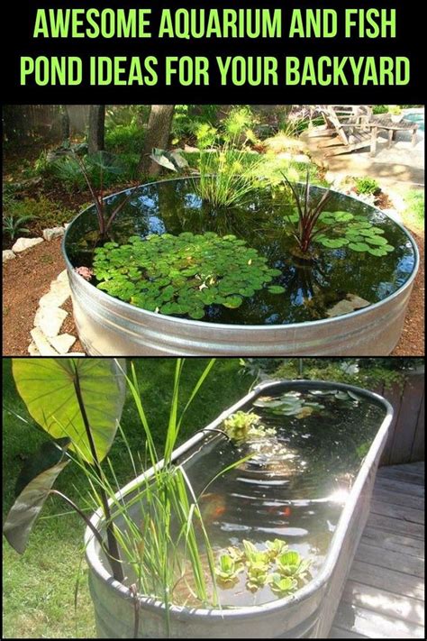 Diy small indoor waterfall with 50 lit small pond with guppies dimensions :120cm x 60cm (pond and waterfall) materials that i use 1. 50 Fascinating DIY Indoor Aquaponics Fish Tank Ideas | Indoor aquaponics, Aquaponics fish ...