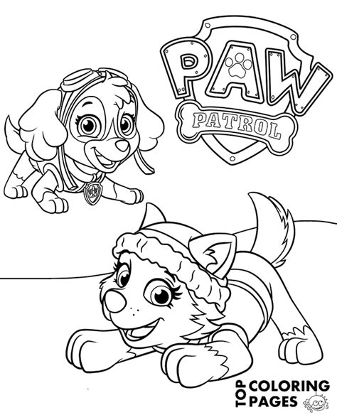 Everest And Skye On Printable Paw Patrol Coloring Page Coloring Home