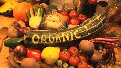 3 Reasons Why You Should Switch To Organic Foods Updated Trends