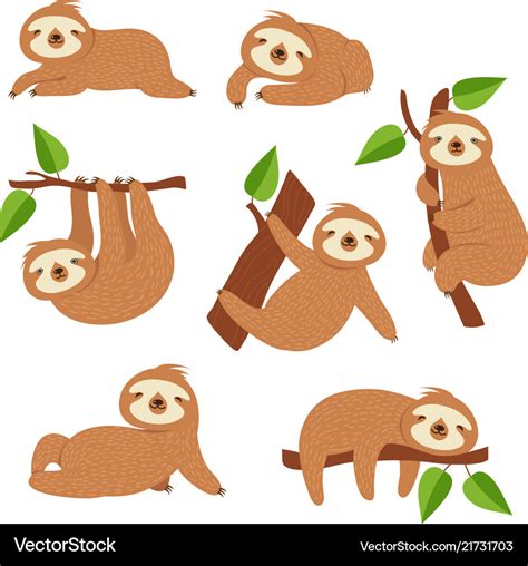 Cute Sloths Cartoon Sloth Hanging On Tree Branch Vector Image
