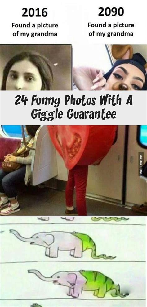 24 Funny Photos With A Giggle Guarantee Humor Funny Photos Giggle