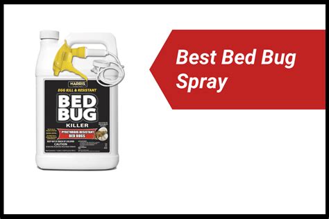 6 Best Bed Bug Sprays In 2024 Detailed Reviews