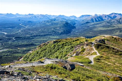 How To Hike The Mount Healy Overlook Trail Denali National Park