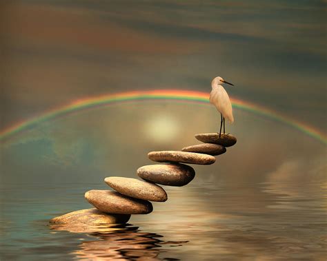 Harmonious Balance Photograph By Stephen Warren