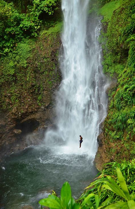 dominica dominica outdoors adventure beautiful waterfalls national parks