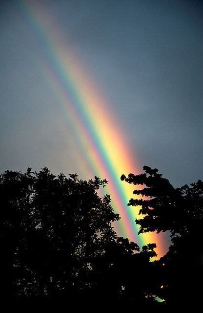 Real Rainbow Beautiful Rainbow Beautiful Nature