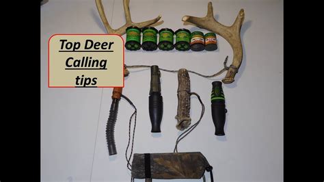 Top Deer Calling Tips Using Grunt Call And Can Youtube