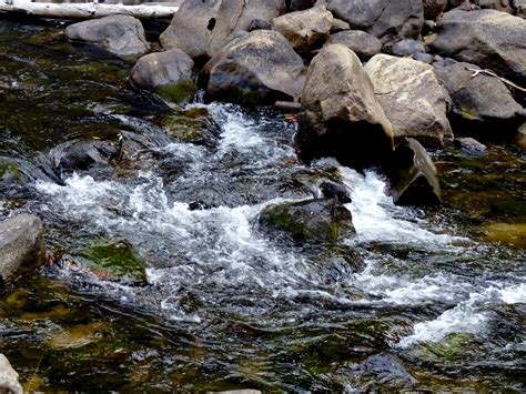 Moving Mountain Stream Free Stock Photo Public Domain Pictures