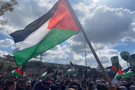 Adalah Q A On The Legality Of Waving The Palestinian Flag Adalah