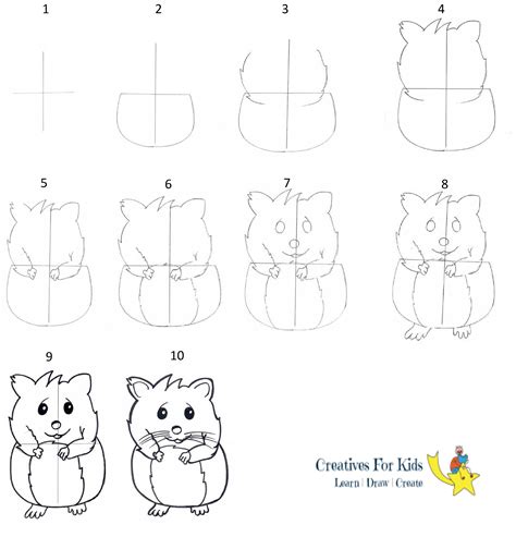 How To Draw A Hamster Step By Step Tutorial In 2020 Hamster Hamster