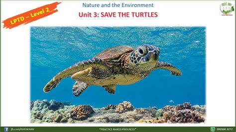 Lptd Level 2 Unit 3 Save The Turtles Youtube
