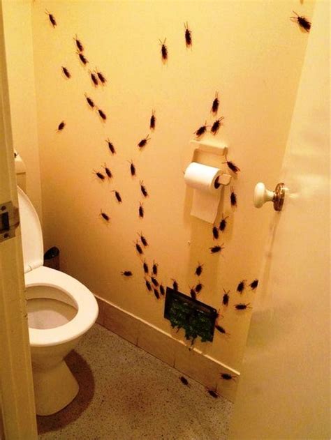 Decorating ideas for bathrooms or for small apartments always kept the interior designers in a constant challenge of finding the best solutions yes, decorating bathroom ideas can be costly. 101 Spooky Indoor & Outdoor Halloween Decoration Ideas ...