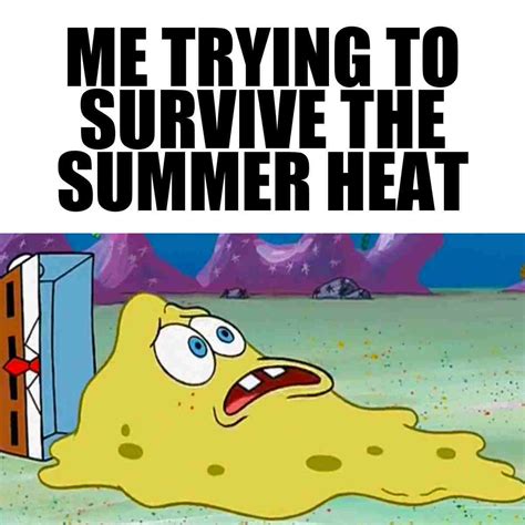 Funny Hot Weather Memes About The Summer Heat Weather Memes Summer