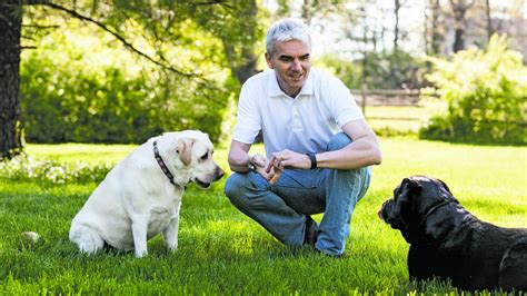 Names inspired by nuts, spices, fast food favorites, and summertime treats like ice cream, hot dogs, and burgers are all fair game for naming your pooch. Whitebridge acquires California pet food maker - St. Louis ...