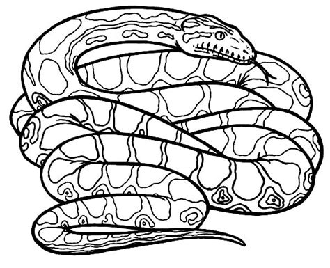 Amongst many benefits, it teaches them to focus, it builds motor skills, and it helps to recognize colors. How To Draw Anaconda Snake Coloring Page : Coloring Sky